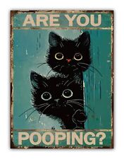 Black Cats " Are You Pooping "