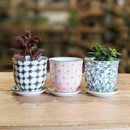Liberte pot and - liberte, 3"