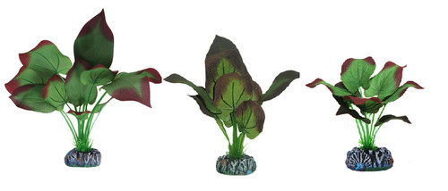 Betta choice silk green - betta,