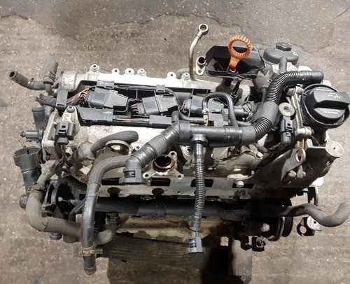 2008 volkswagen tiguan golf - 2008,