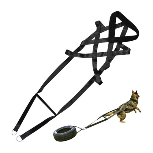Dog harness for - dog,