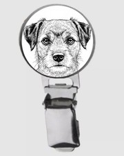 Border terrier  dog on DOME