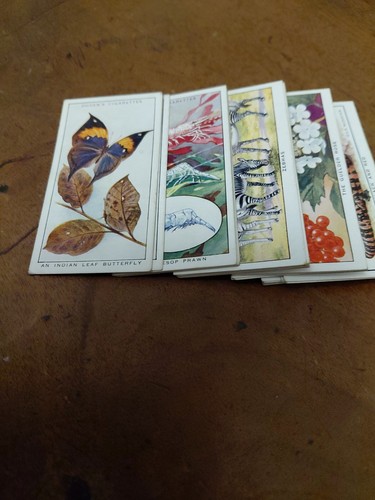Ogdens cards colour in - ogdens, 28