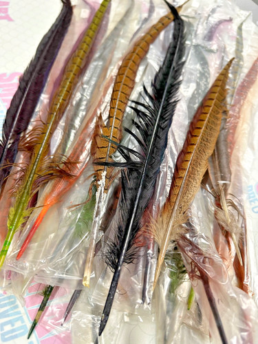 Pheasant tail feathers - , 30