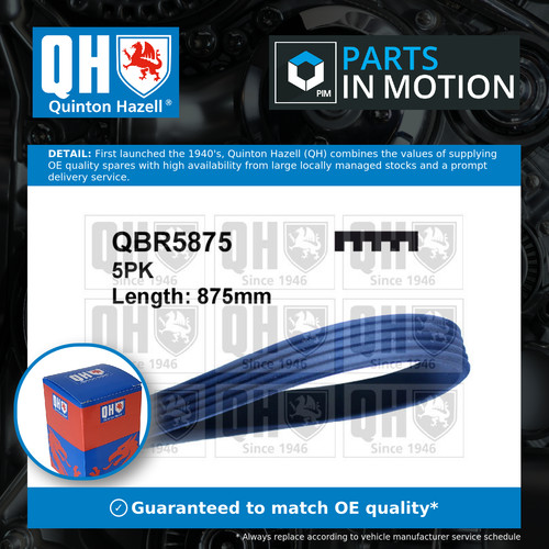Rib multi drive belt fits - rib,