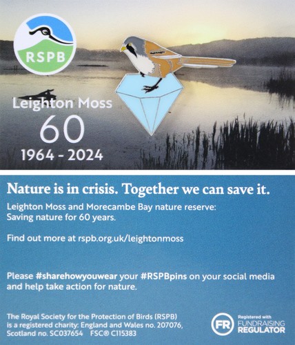Rspb pin badge special niic - rspb,