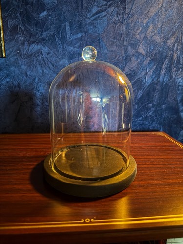 Glass display cloche - glass, bell