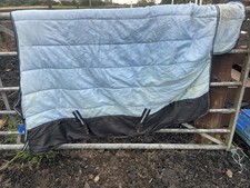 Quality 5’3” Stable Rug