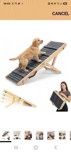 Folding wooden dog - folding, ramp