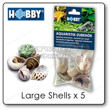 Hobby NATURAL HERMIT CRAB SEA