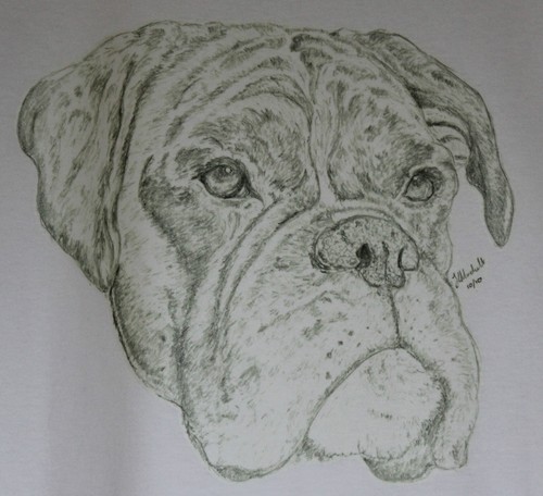 Boxer dog shirt and - dog,