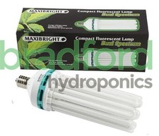 Maxibright cfl 300w - maxibright, blue