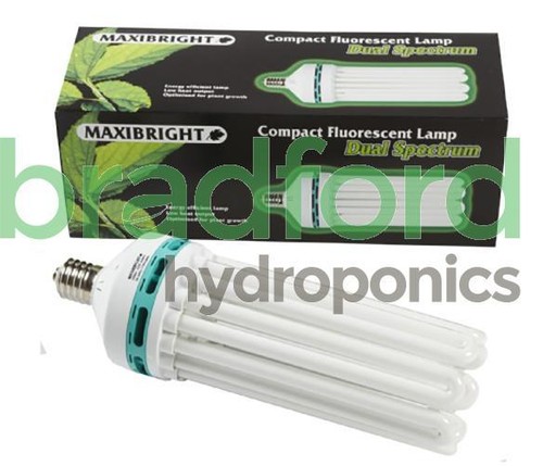 Maxibright cfl 300w - maxibright,
