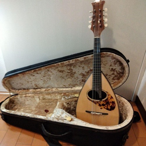 Vintage oval hole mandolin - oval,