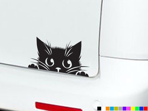 Peeking peeping cat eyes boot - peeking,