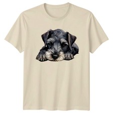 Schnauzer Puppy Dog Animals