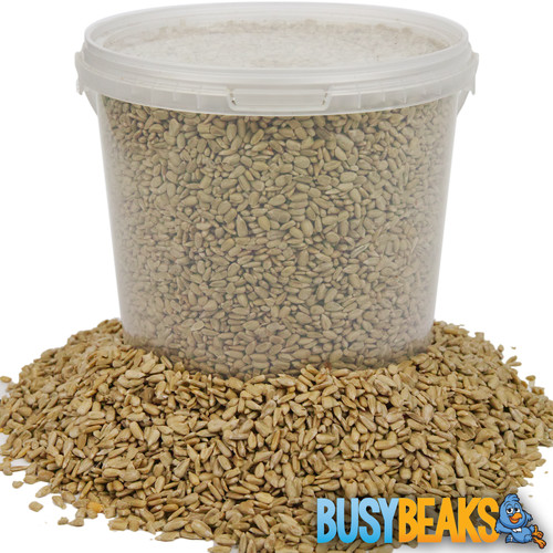 Busybeaks sunflower hearts - busybeaks,