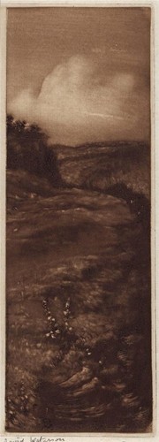 David waterson pencil signed - waterson,