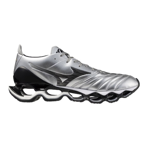 Mizuno wave prophecy - mizuno,