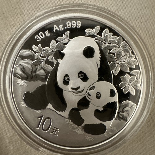 2024 panda silver 1oz - 2024,
