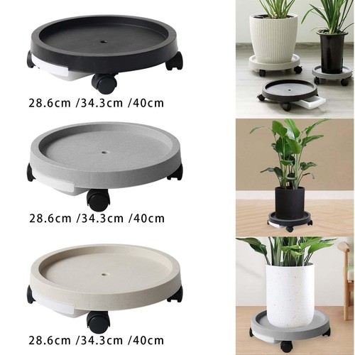 Round potted plant moving - plant,