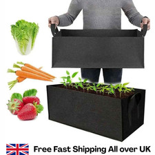 Large plant tree pot container - plant,