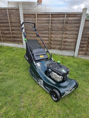 Hayter harrier rear - harrier, ad