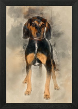Cross breed with a Beagle