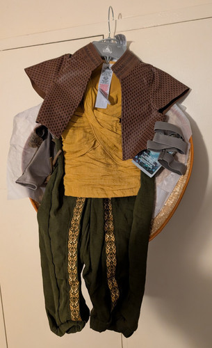 Disney store raya costume for - disney,