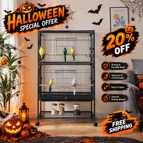 Large bird cage budgie - budgie,