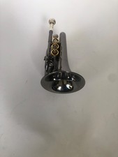 Carol Brass B flat Pocket