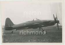 Westland Wyvern TS378 Large Original Photo, CX101