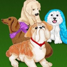 MACHINE EMBROIDERY DESIGNS USB