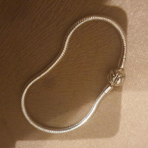 Silver tone snake chain - snake,
