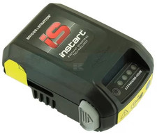 Genuine Briggs & Stratton