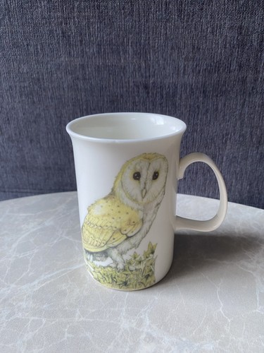 Barn owl bird mug - owl,