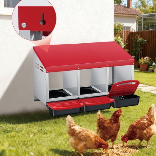 Chicken nesting box roll away - chicken,