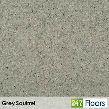 Grey Squirrel Natural Berber
