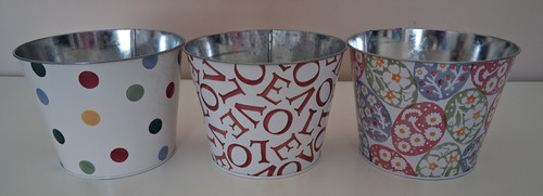 Emma bridgewater plant - bridgewater,