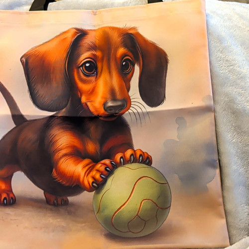 Springs creative dachshund - springs,