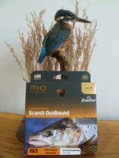 Rio Elite Scandi OutBound #8/9 Floating Fly Fishing Line
