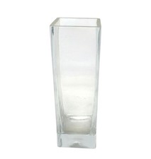 Clear Rectangular Glass Vase