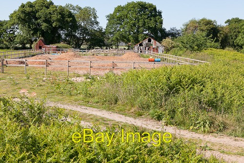 Photo 6x4 smallholding - photo,