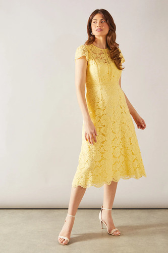 Wallis lemon fit flare dress - wallis,