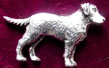 Pewter Labrador Retriever Dog