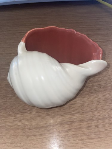 Vintage poole pottery - pottery, conch