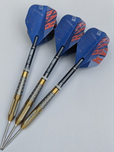 Raymond van barneveld rvb - raymond,