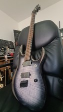 Ibanez axion label rgd61alms - label,