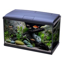 Temperate Aquarium 56 Litre