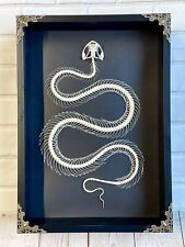 White Lipped Pit Viper